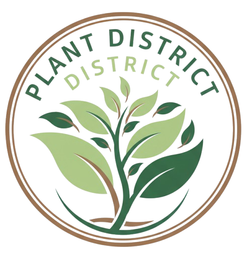 Plant District